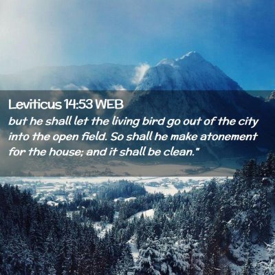 Picture 02 - Leviticus 14:53 WEB - but he shall let the living bird go out of the - Bible Verse Picture