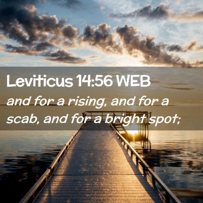 Picture 02 - Leviticus 14:56 WEB - and for a rising, and for a scab, and for a - Bible Verse Picture