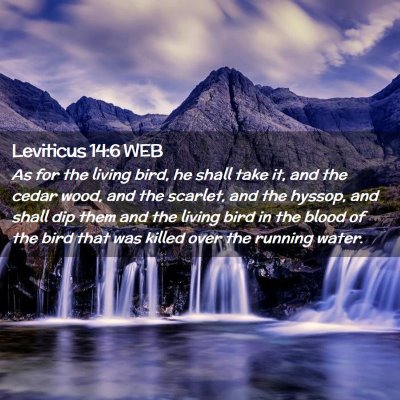 Picture 02 - Leviticus 14:6 WEB - As for the living bird, he shall take it, and the - Bible Verse Picture