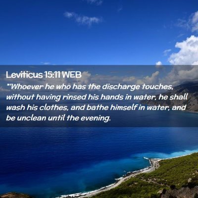 Picture 02 - Leviticus 15:11 WEB - 