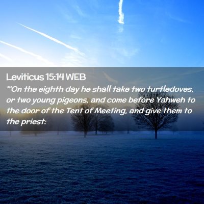Picture 02 - Leviticus 15:14 WEB - 