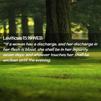 Picture 02 - Leviticus 15:19 WEB - 