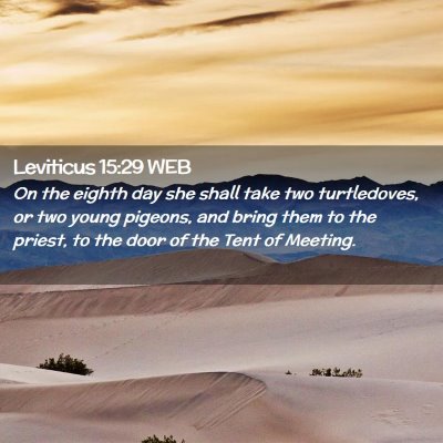 Picture 02 - Leviticus 15:29 WEB - On the eighth day she shall take two turtledoves, - Bible Verse Picture