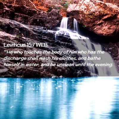 Picture 02 - Leviticus 15:7 WEB - 