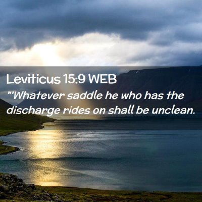 Picture 02 - Leviticus 15:9 WEB - 