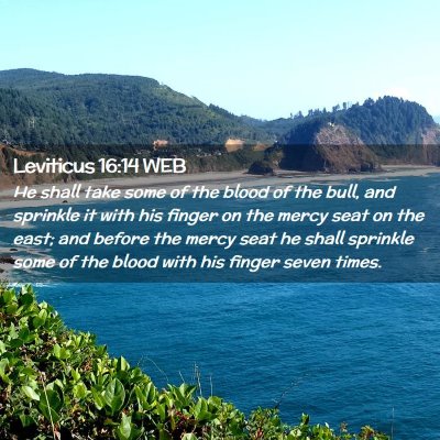 Picture 02 - Leviticus 16:14 WEB - He shall take some of the blood of the bull, and - Bible Verse Picture
