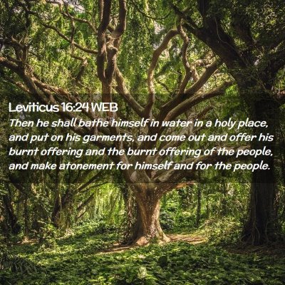 Picture 02 - Leviticus 16:24 WEB - Then he shall bathe himself in water in a holy - Bible Verse Picture