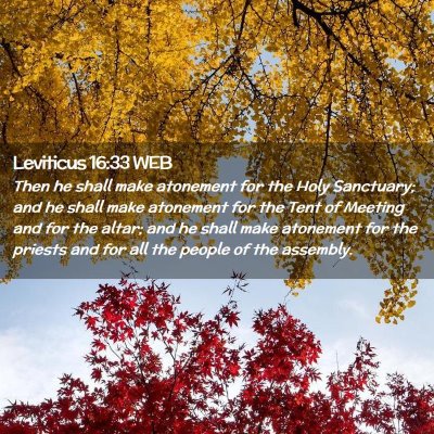 Picture 02 - Leviticus 16:33 WEB - Then he shall make atonement for the Holy - Bible Verse Picture