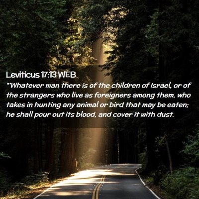 Picture 02 - Leviticus 17:13 WEB - 
