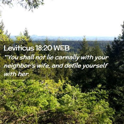 Picture 02 - Leviticus 18:20 WEB - 