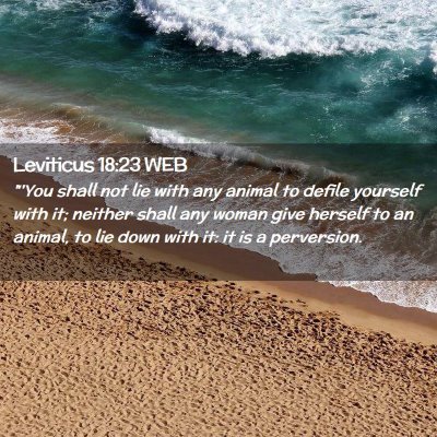 Picture 02 - Leviticus 18:23 WEB - 