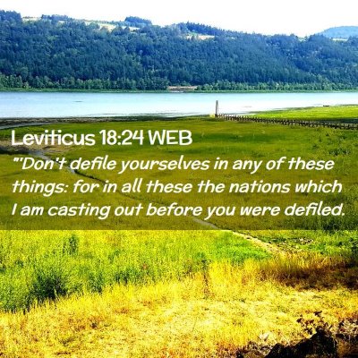 Picture 02 - Leviticus 18:24 WEB - 
