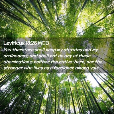 Picture 02 - Leviticus 18:26 WEB - You therefore shall keep my statutes and my - Bible Verse Picture