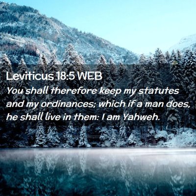 Picture 02 - Leviticus 18:5 WEB - You shall therefore keep my statutes and my - Bible Verse Picture