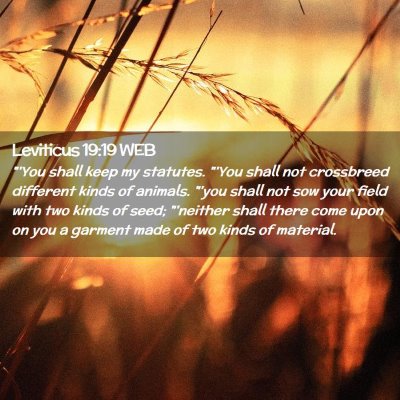 Picture 02 - Leviticus 19:19 WEB - 