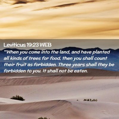 Picture 02 - Leviticus 19:23 WEB - 