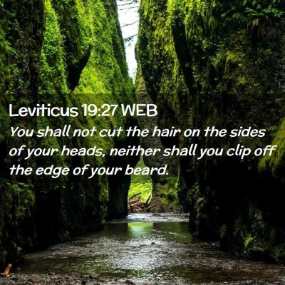 Picture 02 - Leviticus 19:27 WEB - You shall not cut the hair on the sides of your - Bible Verse Picture