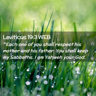 Picture 02 - Leviticus 19:3 WEB - 