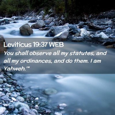 Picture 02 - Leviticus 19:37 WEB - You shall observe all my statutes, and all my - Bible Verse Picture