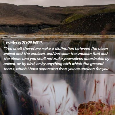 Picture 02 - Leviticus 20:25 WEB - 