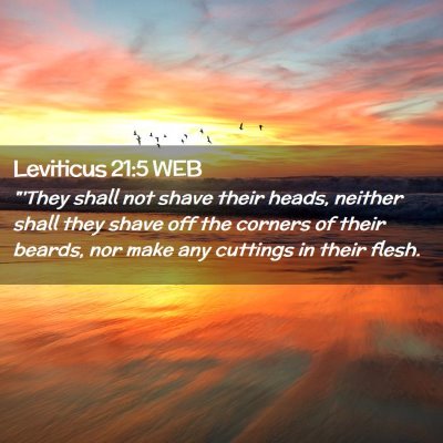Picture 02 - Leviticus 21:5 WEB - 