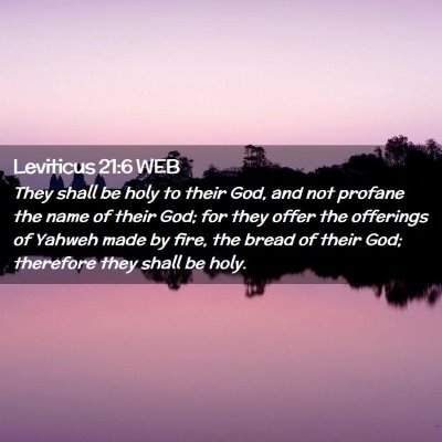 Picture 02 - Leviticus 21:6 WEB - They shall be holy to their God, and not profane - Bible Verse Picture
