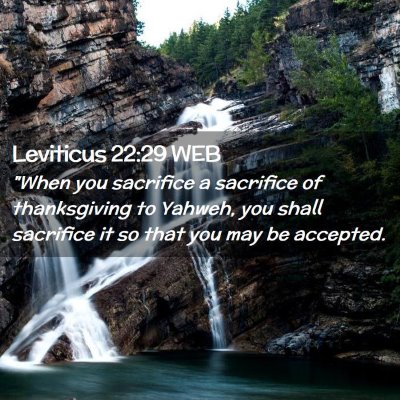 Picture 02 - Leviticus 22:29 WEB - 