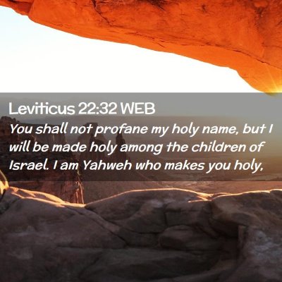 Picture 02 - Leviticus 22:32 WEB - You shall not profane my holy name, but I will be - Bible Verse Picture