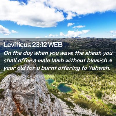 Picture 02 - Leviticus 23:12 WEB - On the day when you wave the sheaf, you shall - Bible Verse Picture