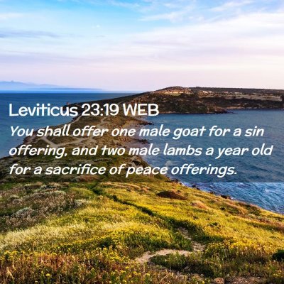 Picture 02 - Leviticus 23:19 WEB - You shall offer one male goat for a sin offering, - Bible Verse Picture