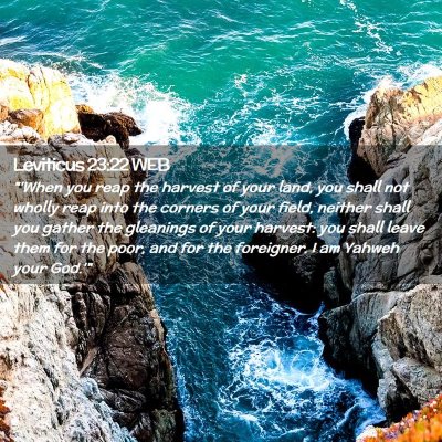 Picture 02 - Leviticus 23:22 WEB - 