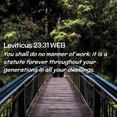 Picture 02 - Leviticus 23:31 WEB - You shall do no manner of work: it is a statute - Bible Verse Picture