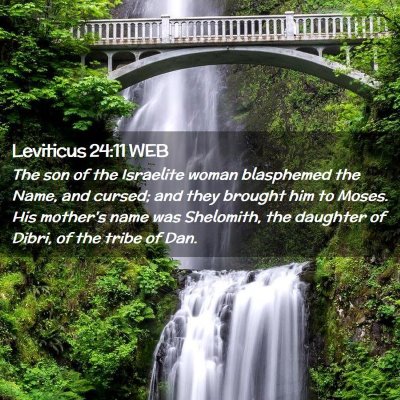 Picture 02 - Leviticus 24:11 WEB - The son of the Israelite woman blasphemed the - Bible Verse Picture