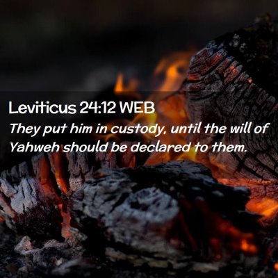 Picture 02 - Leviticus 24:12 WEB - They put him in custody, until the will of Yahweh - Bible Verse Picture