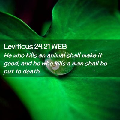 Picture 02 - Leviticus 24:21 WEB - He who kills an animal shall make it good; and he - Bible Verse Picture
