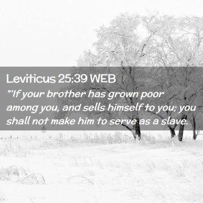 Picture 02 - Leviticus 25:39 WEB - 