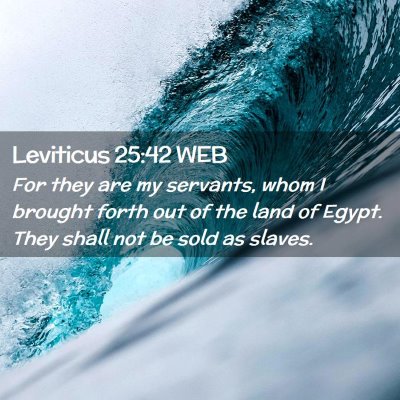 Picture 02 - Leviticus 25:42 WEB - For they are my servants, whom I brought forth - Bible Verse Picture