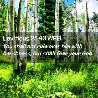 Picture 02 - Leviticus 25:43 WEB - You shall not rule over him with harshness, but - Bible Verse Picture