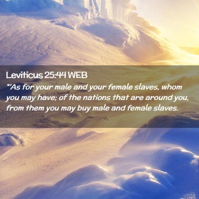 Picture 02 - Leviticus 25:44 WEB - 