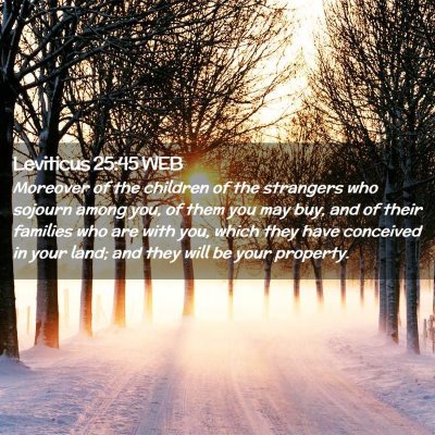Picture 02 - Leviticus 25:45 WEB - Moreover of the children of the strangers who - Bible Verse Picture