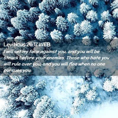 Picture 02 - Leviticus 26:17 WEB - I will set my face against you, and you will be - Bible Verse Picture