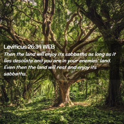 Picture 02 - Leviticus 26:34 WEB - Then the land will enjoy its sabbaths as long as - Bible Verse Picture