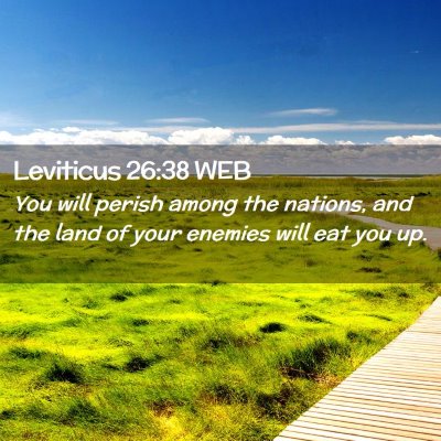 Picture 02 - Leviticus 26:38 WEB - You will perish among the nations, and the land - Bible Verse Picture