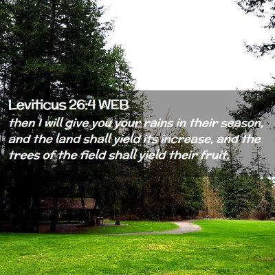 Picture 02 - Leviticus 26:4 WEB - then I will give you your rains in their season, - Bible Verse Picture