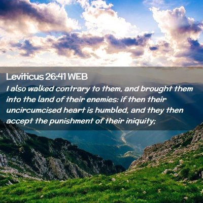 Picture 02 - Leviticus 26:41 WEB - I also walked contrary to them, and brought them - Bible Verse Picture