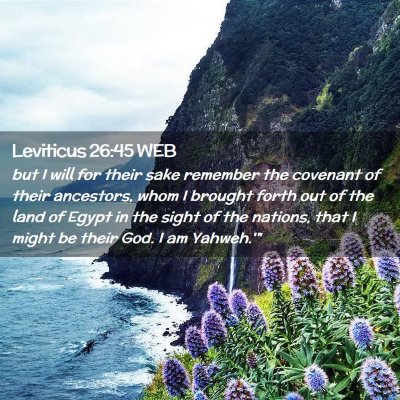 Picture 02 - Leviticus 26:45 WEB - but I will for their sake remember the covenant - Bible Verse Picture