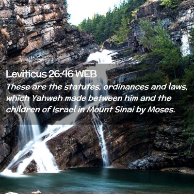 Picture 02 - Leviticus 26:46 WEB - These are the statutes, ordinances and laws, - Bible Verse Picture