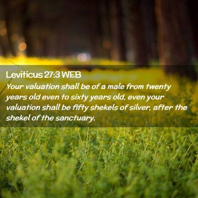 Picture 02 - Leviticus 27:3 WEB - Your valuation shall be of a male from twenty - Bible Verse Picture