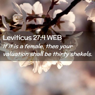 Picture 02 - Leviticus 27:4 WEB - If it is a female, then your valuation shall be - Bible Verse Picture