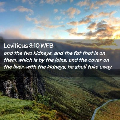 Picture 02 - Leviticus 3:10 WEB - and the two kidneys, and the fat that is on them, - Bible Verse Picture